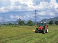 Thringer Landwirtschaft einheitlicher vermarkten