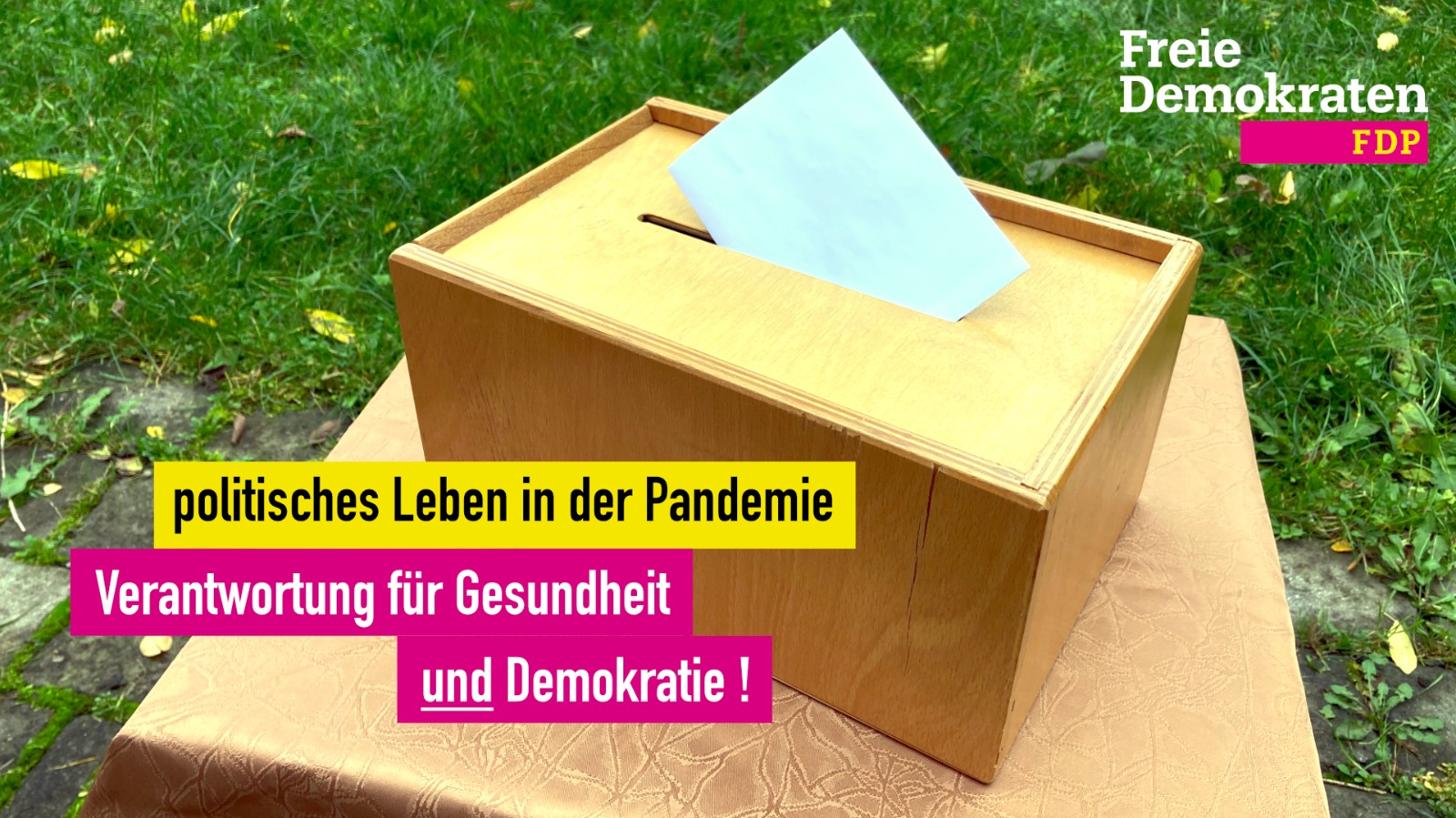 Politisches Leben in der Pandemie